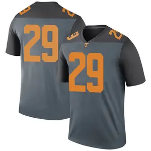 Brandon Turnage Nike Tennessee Volunteers Youth Legend College Jersey - Gray