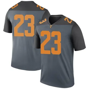 Cheyenne Labruzza Nike Tennessee Volunteers Men's Legend College Jersey - Gray