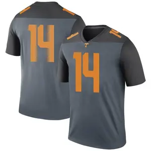 Christian Charles Nike Tennessee Volunteers Youth Legend College Jersey - Gray