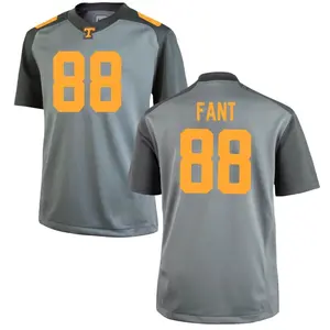 Princeton Fant Nike Tennessee Volunteers Men's Game College Jersey - Gray