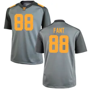 Princeton Fant Nike Tennessee Volunteers Youth Game College Jersey - Gray
